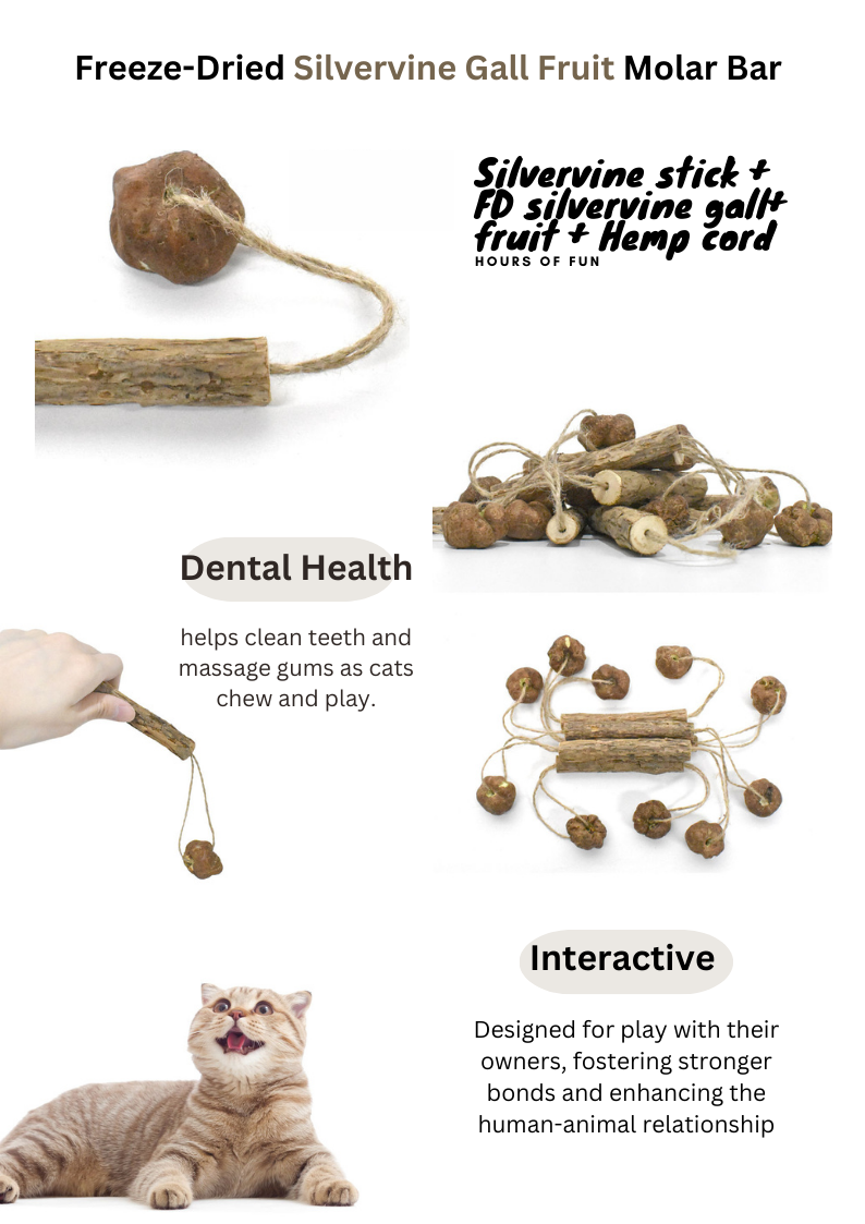 Freeze Dried Silvervine Toys for Cats - Natural Relaxation and Play - Shopthatapp.ca