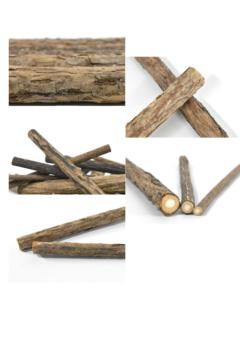 Silvervine Sticks for Cats - Natural Cat Teaser and Chew Toys - Shopthatapp.ca