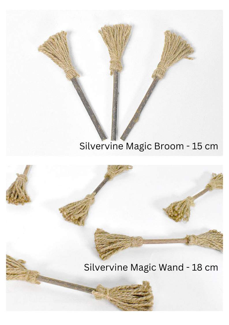 Silvervine Magic Broom - Shopthatapp.ca