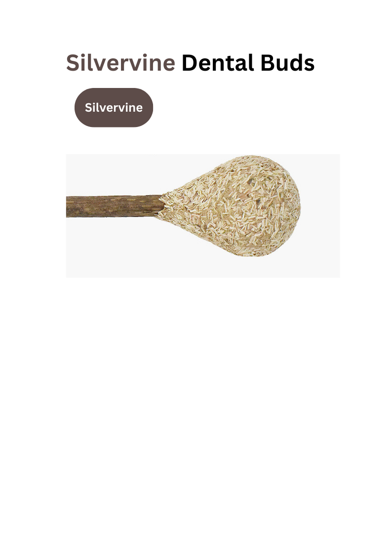 Catnip Dental Buds - Natural Silvervine Chews for Healthy Teeth - Shopthatapp.ca