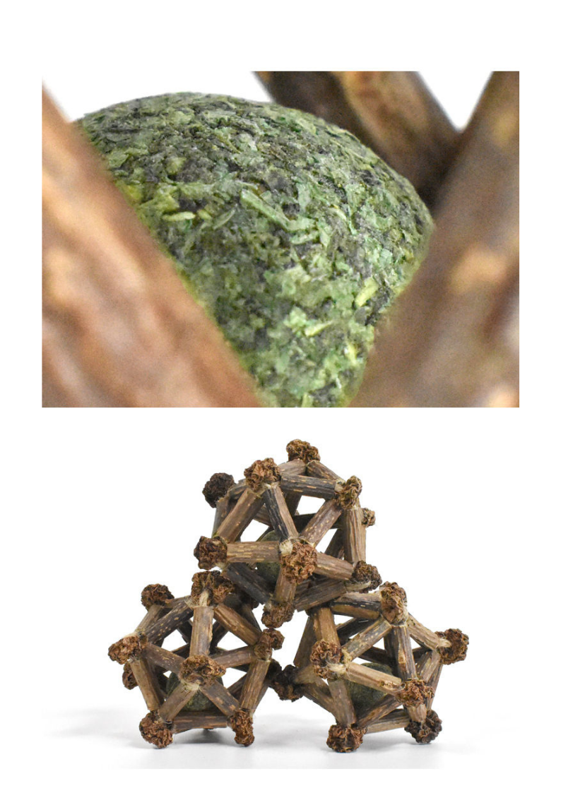 Silvervine Twelve Pointed Star - Shopthatapp.ca