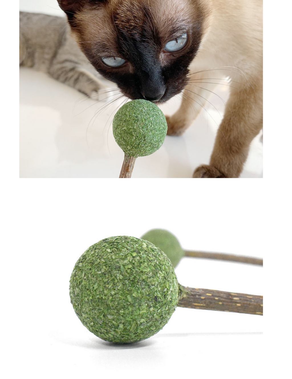 Catnip Silvervine Lollipop - Natural Cat Toy for Fun and Stimulation - Shopthatapp.ca