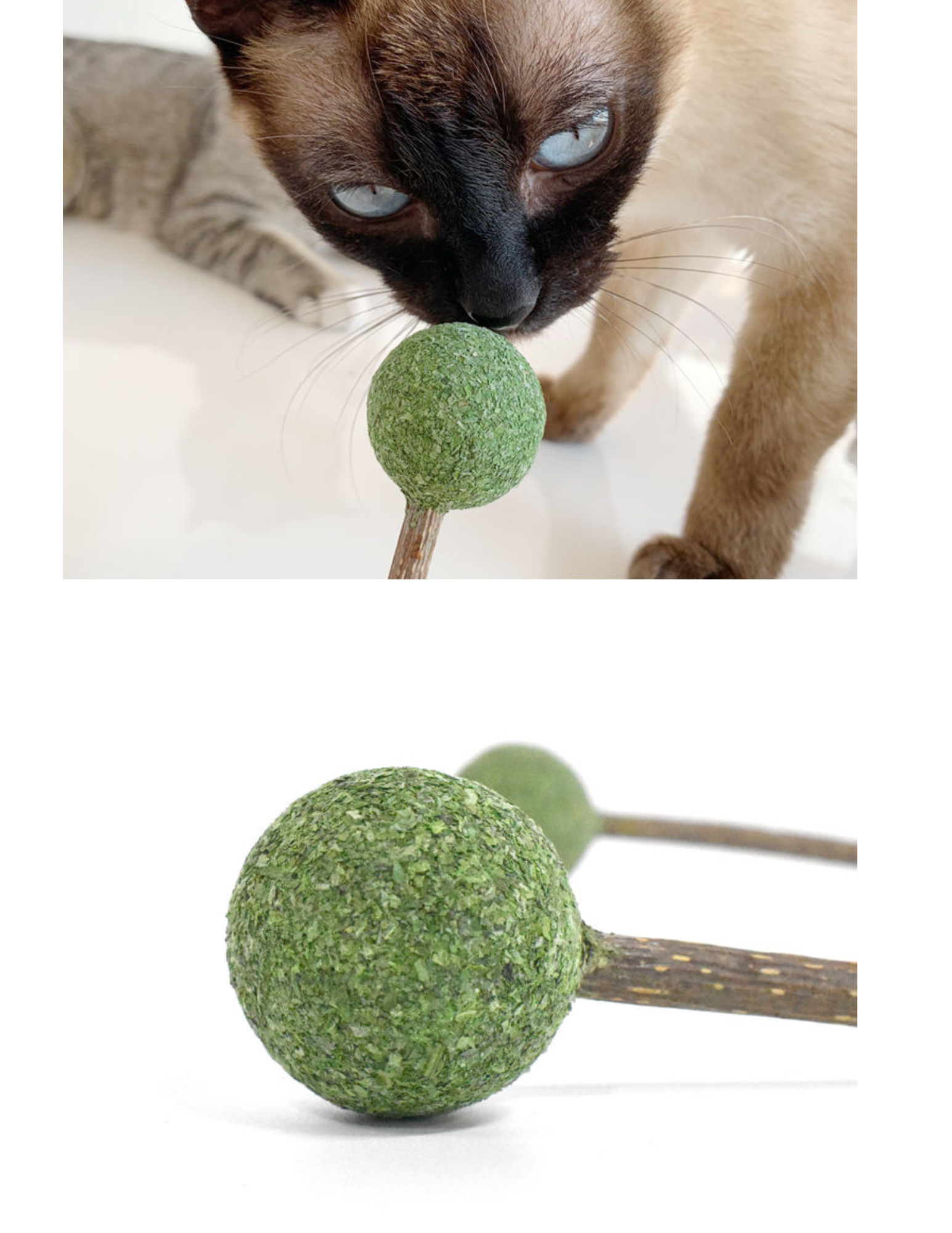 Catnip Silvervine Lollipop - Natural Cat Toy for Fun and Stimulation - Shopthatapp.ca