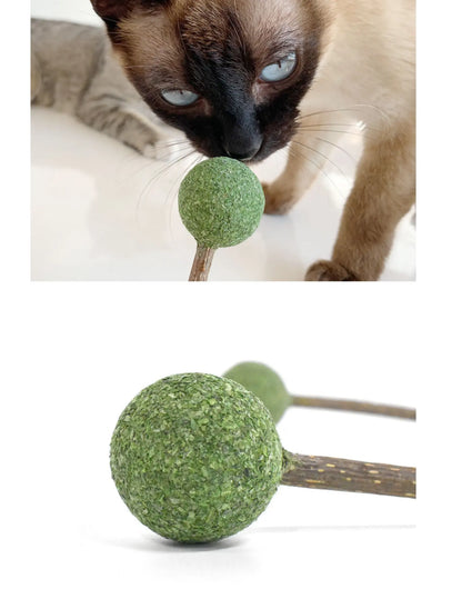Natural Catnip Silvervine Lollipop toy for cats, featuring fresh, stimulating cat toy designed by CATWANT for fun and engagement.