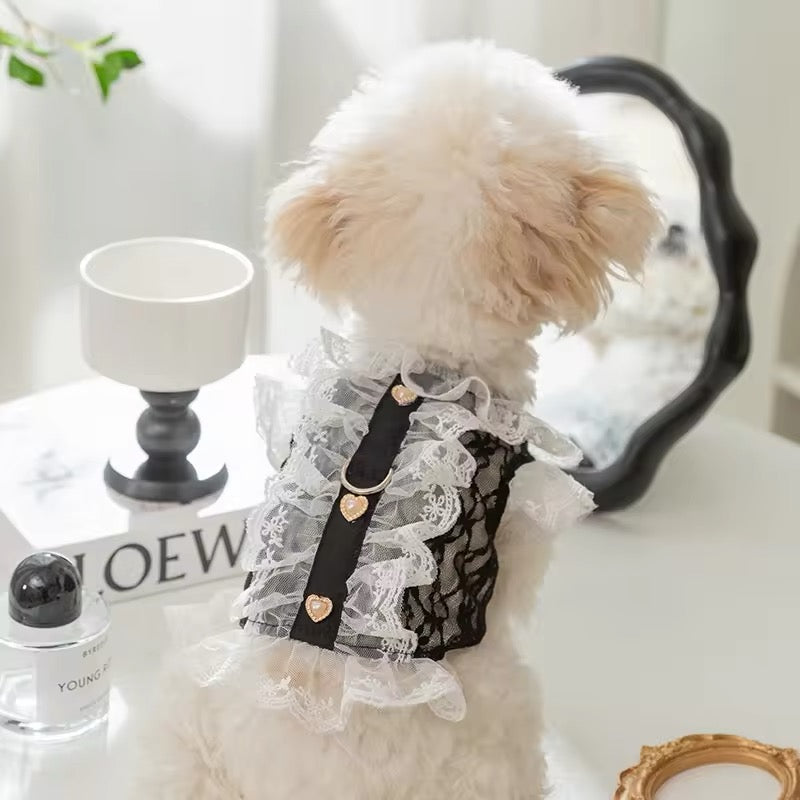 Sabrina Dress for Dogs – Elegant Lace Dog Dress - Shopthatapp.ca