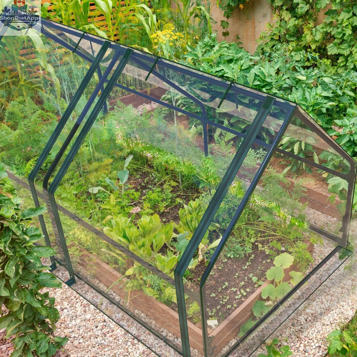 Portable mini greenhouse with waterproof UV-resistant PVC cover, roll-up zipper doors, ideal for indoor and outdoor gardening.