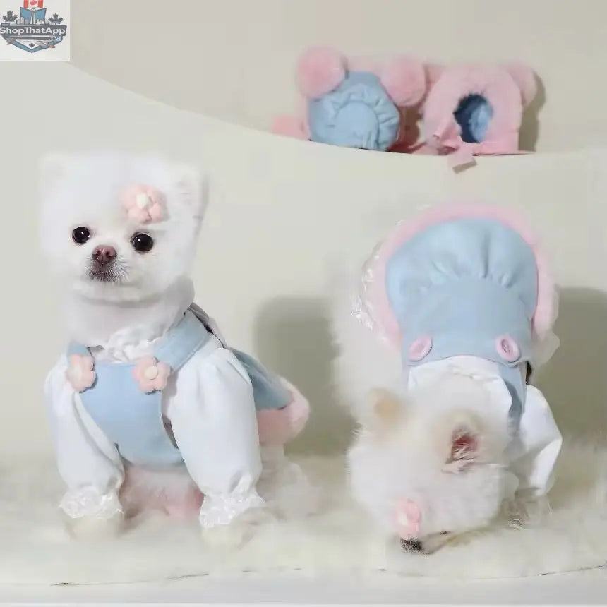 Baby Blue Easter Bunny Outfit – Easter Dog Hat Set - Shopthatapp.ca