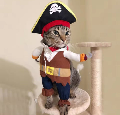Pirate Dog Costume – Spooky Adventure Outfit for Dogs - Shopthatapp.ca