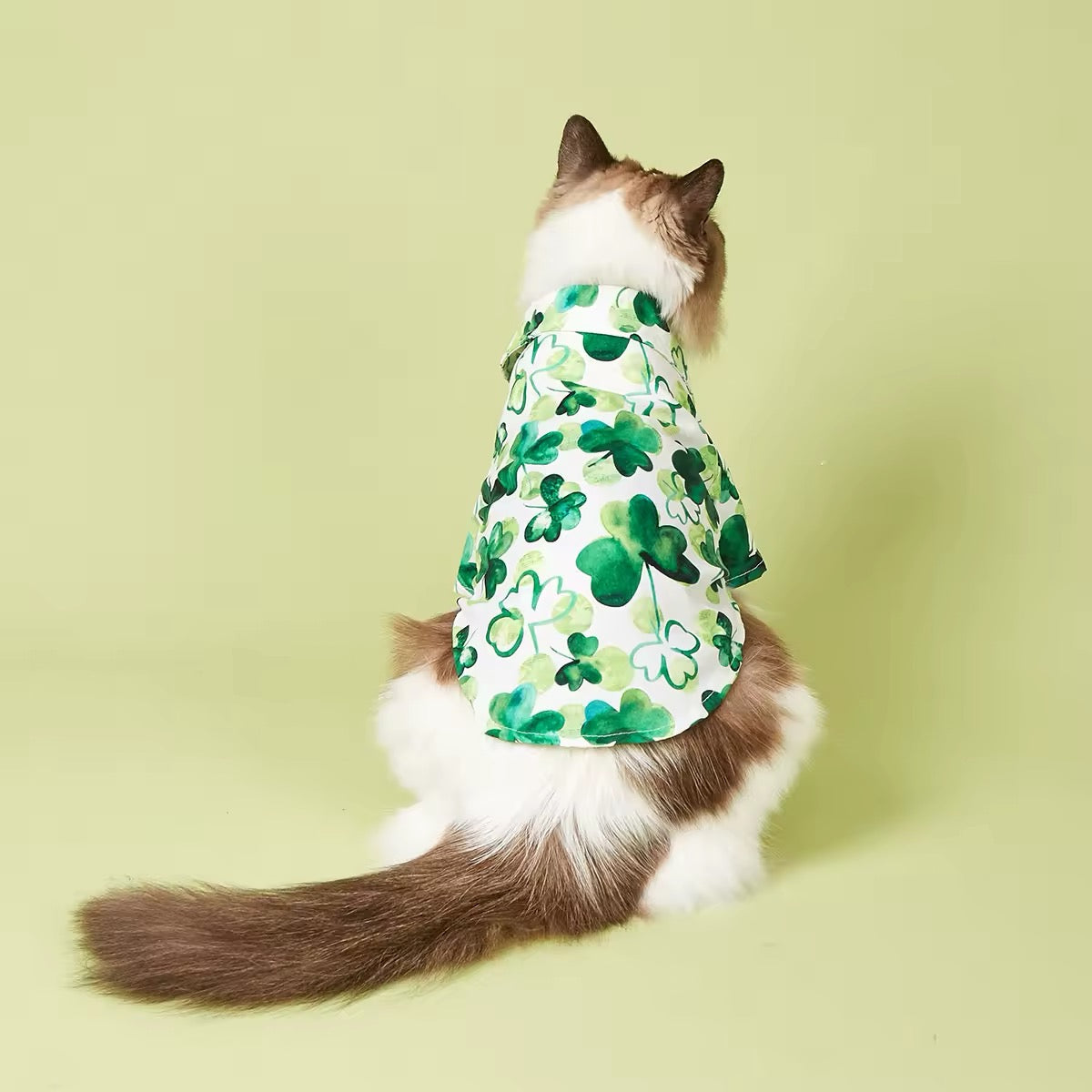 Saint Patrick's Day Dog Shirt - Adorable Festive Holiday Pet Tee for Your Furry Friend - Shopthatapp.ca