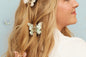 The Butterfly Collection - Shopthatapp.ca