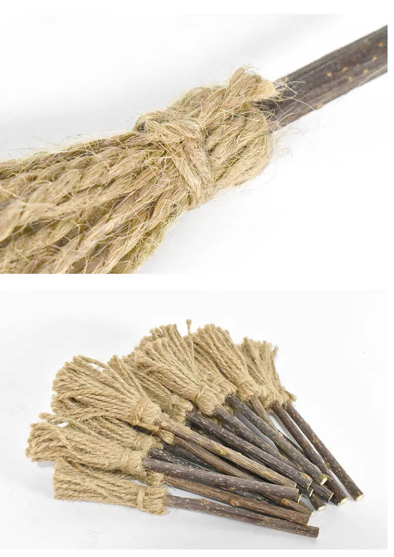 Silvervine Magic Broom toy for cats, natural fresh toy by CATWANT with silvervine sticks and colorful fibers for playful fun.