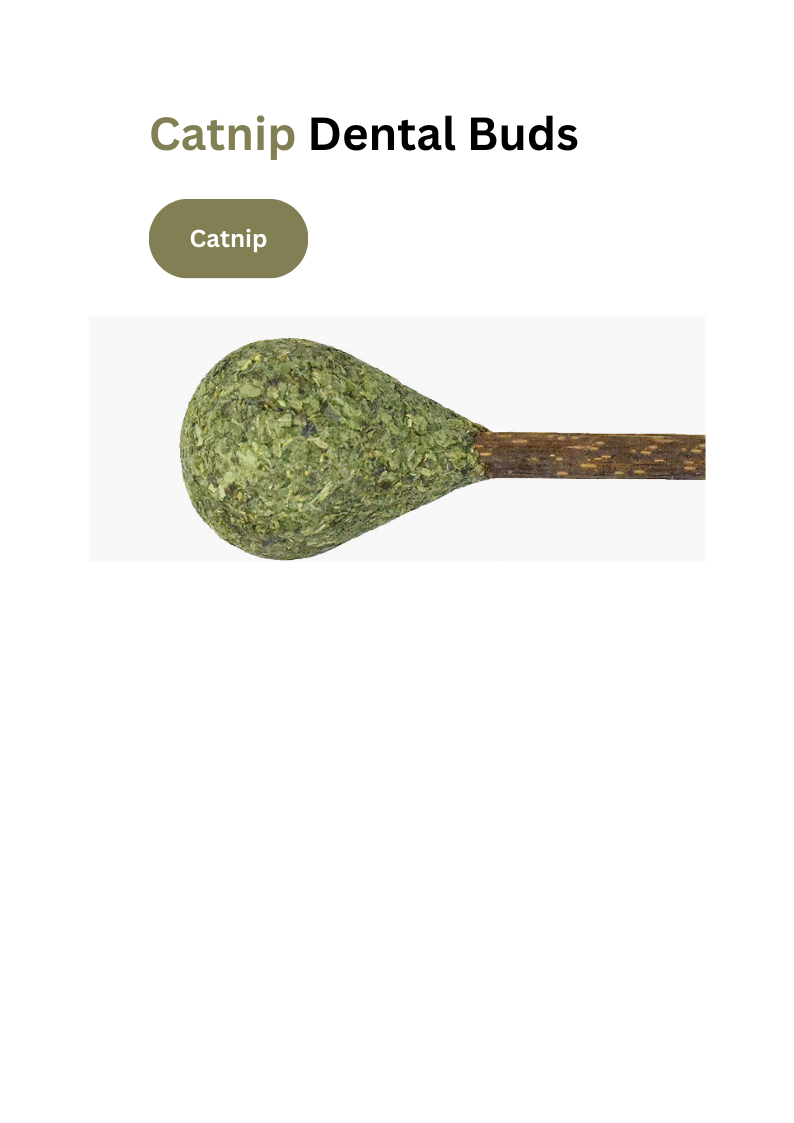 Catnip Dental Buds - Natural Silvervine Chews for Healthy Teeth - Shopthatapp.ca