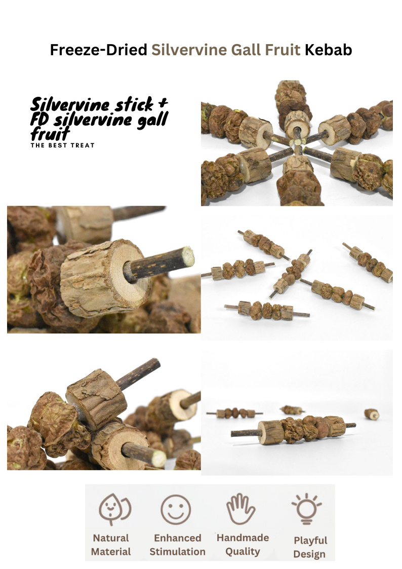 Freeze Dried Silvervine Toys for Cats - Natural Relaxation and Play - Shopthatapp.ca