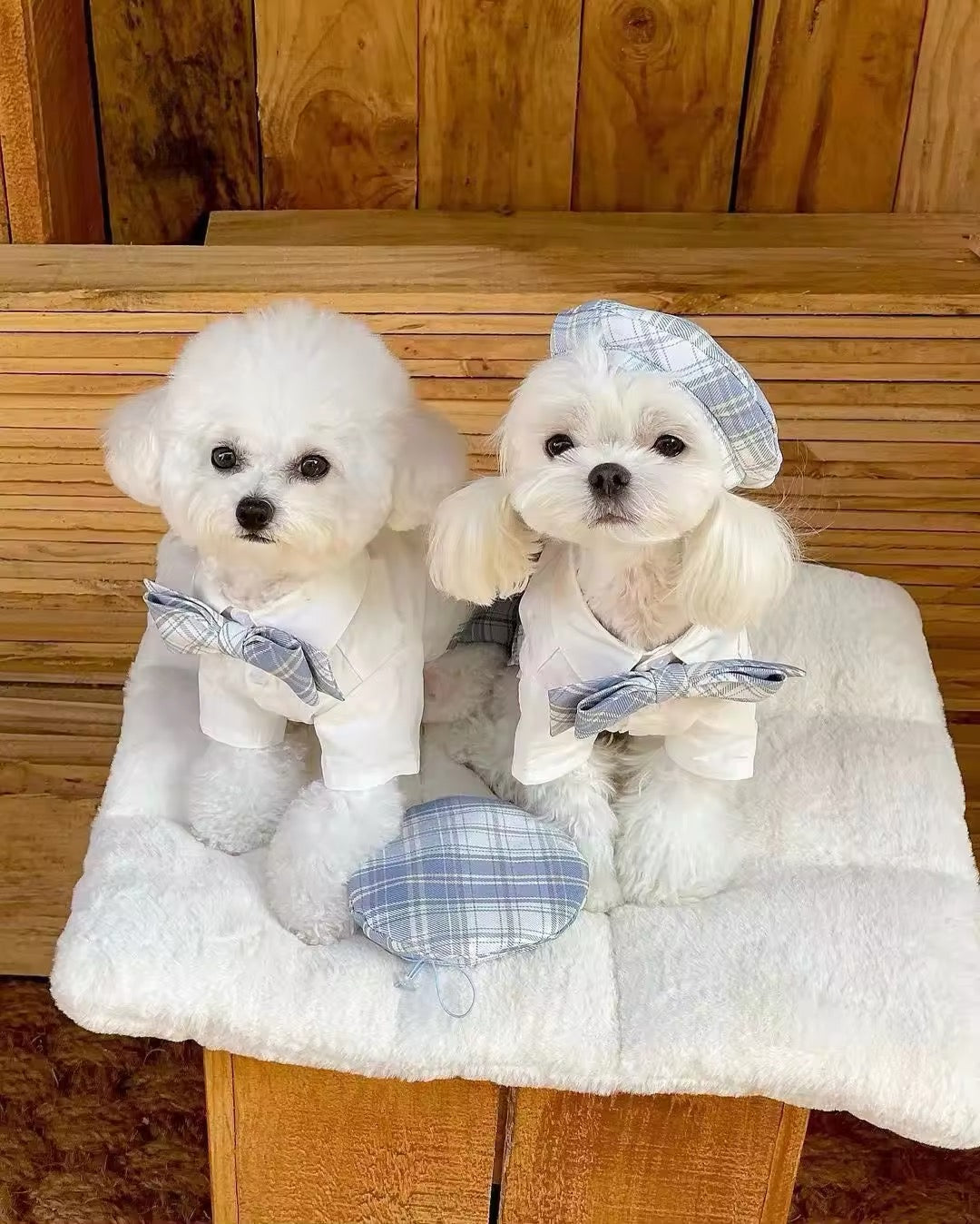 Belinda Set – Luxury Plaid Outfit Set for Dogs with Matching Hat - Shopthatapp.ca