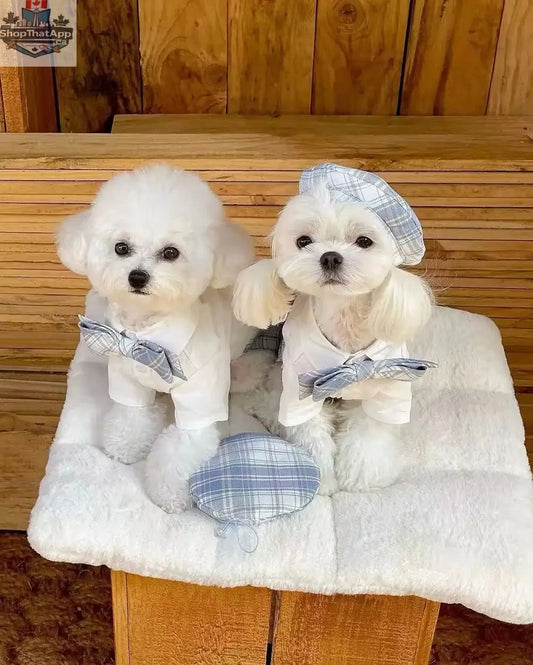 Belinda Set – Luxury Plaid Outfit Set for Dogs with Matching Hat - Shopthatapp.ca