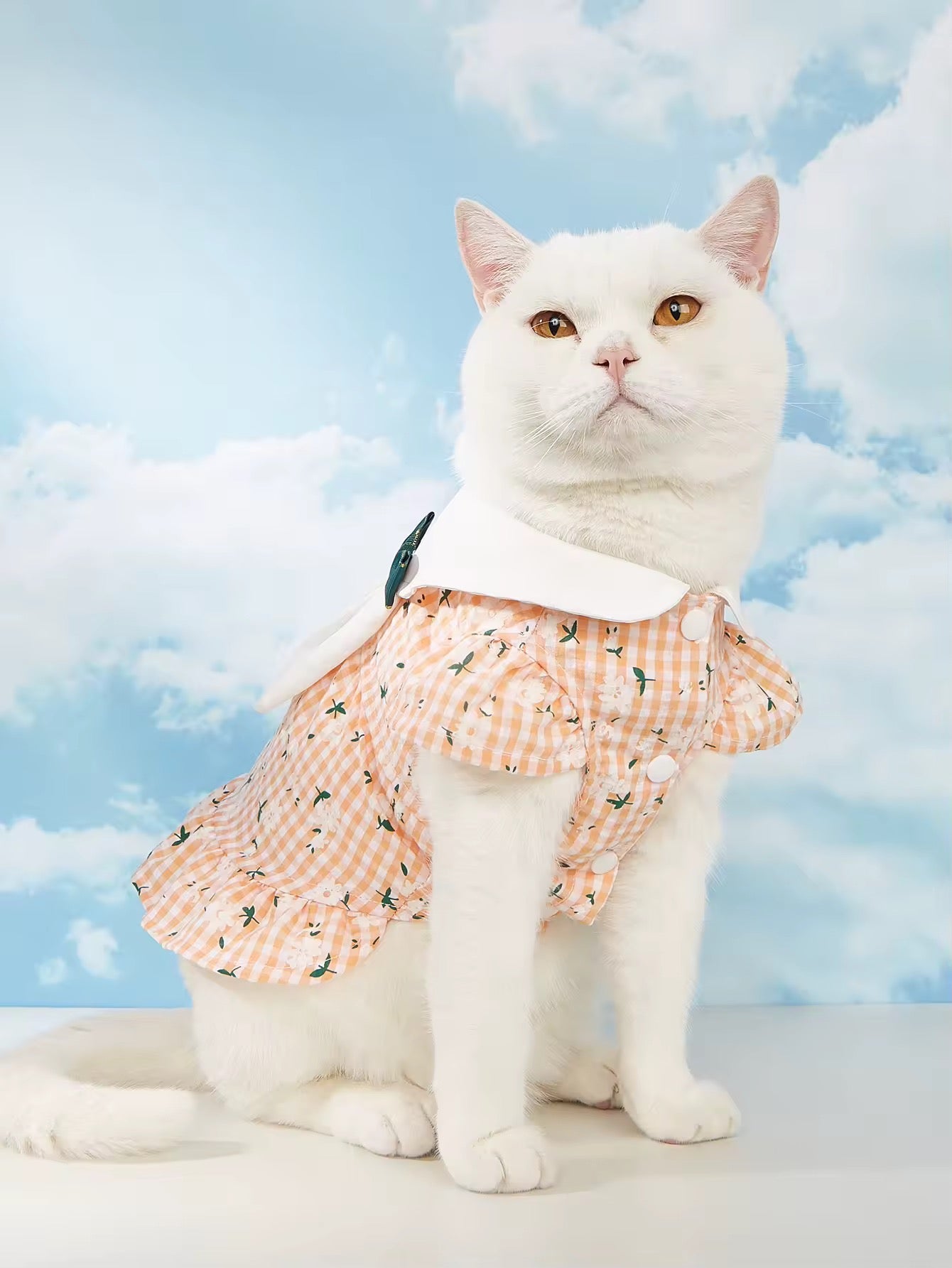 Peach Easter Bunny Dog Dress for a Festive Spring Look - Shopthatapp.ca