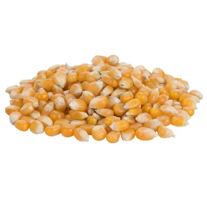 Sunglo 50 lbs Bulk Premium Mushroom Popcorn Kernels