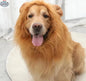 Lion Mane Dog Costume – Fun Halloween Costume for Dogs - Shopthatapp.ca