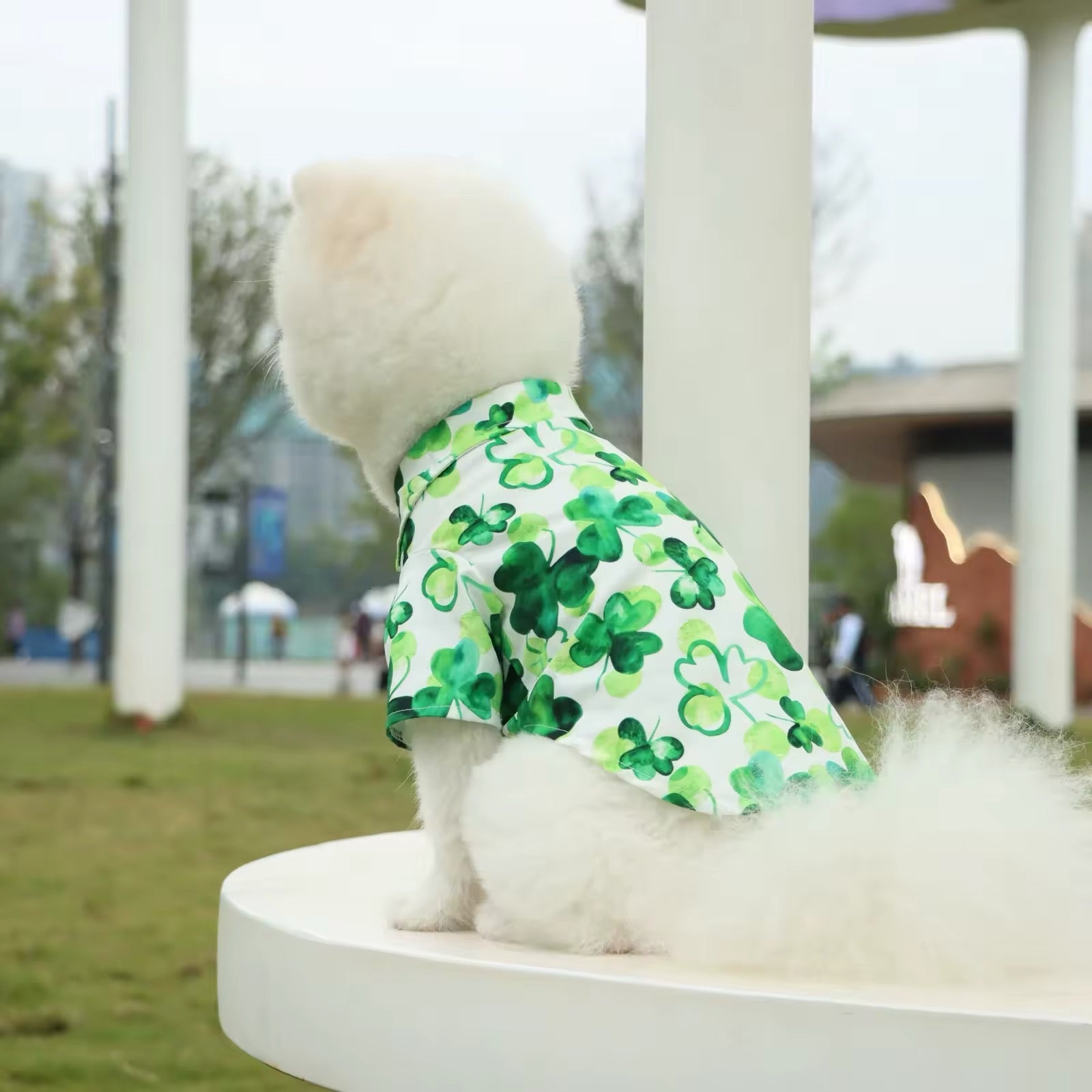 Saint Patrick's Day Dog Shirt - Adorable Festive Holiday Pet Tee for Your Furry Friend - Shopthatapp.ca