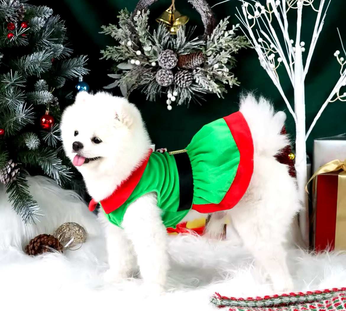 Christmas Dog Dress – Festive Holiday Dress for Dogs - Shopthatapp.ca