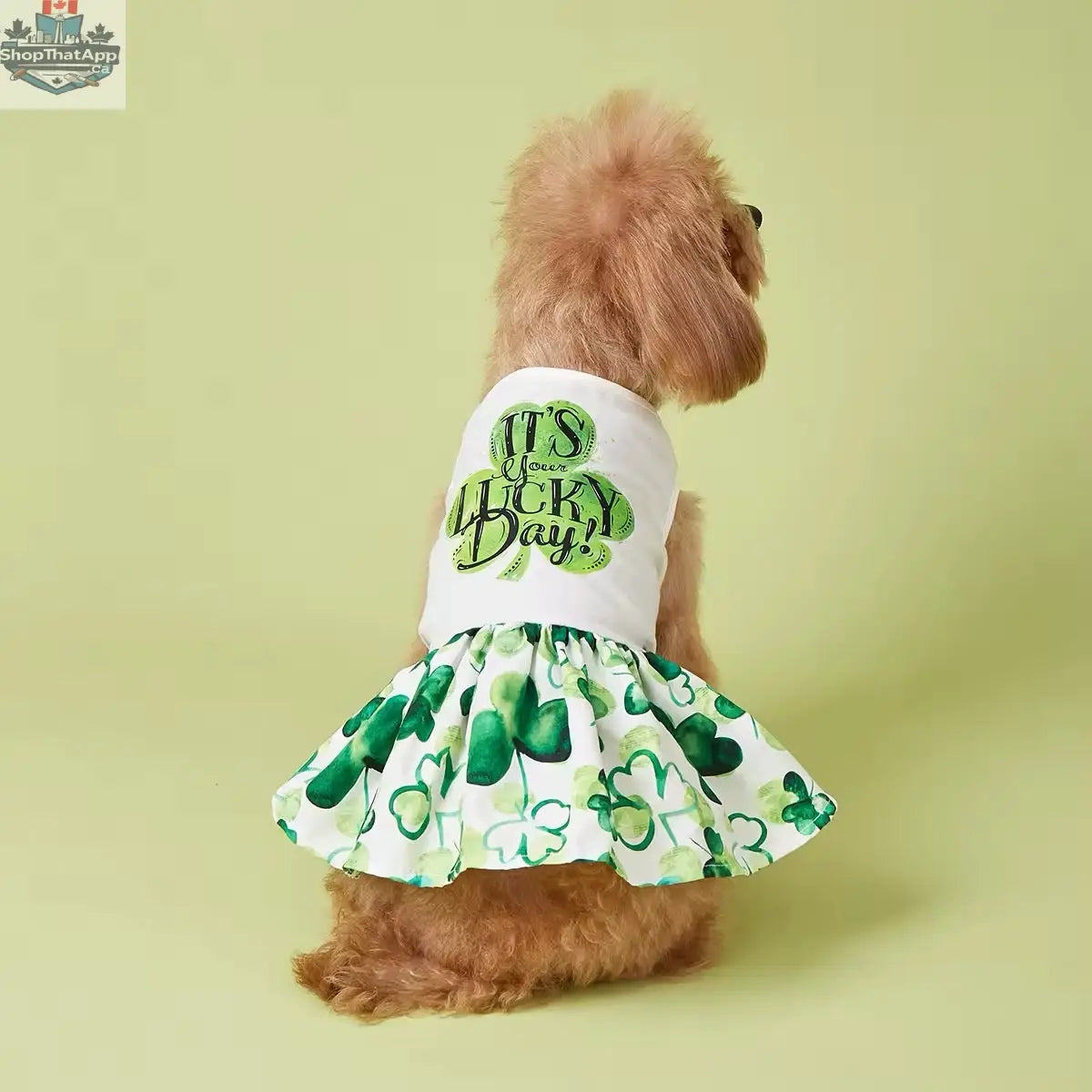 It’s Your Lucky Day Dress – Charming Saint Patrick's Day Dog Dress - Shopthatapp.ca
