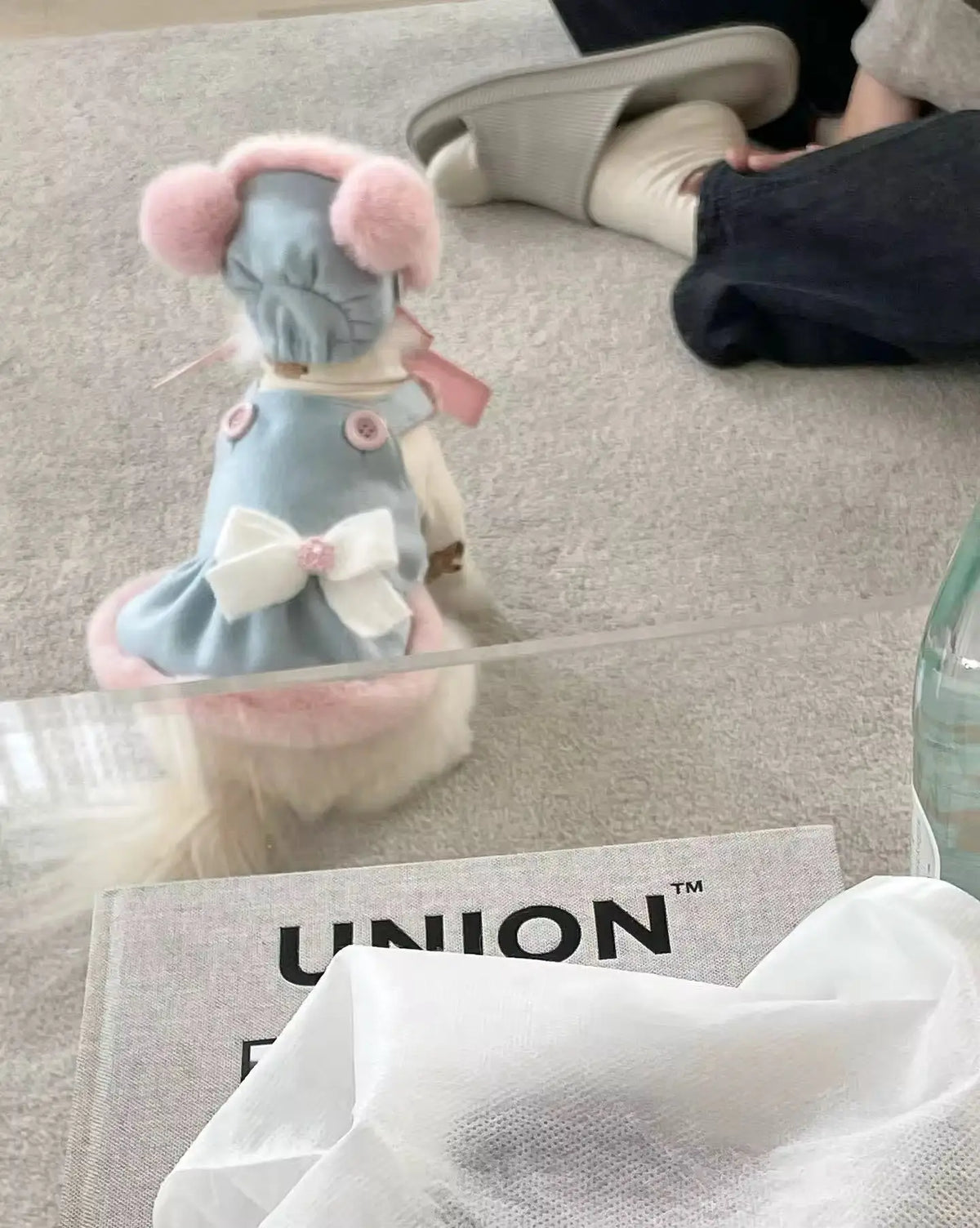 Baby Blue Easter Bunny Outfit – Easter Dog Hat Set - Shopthatapp.ca