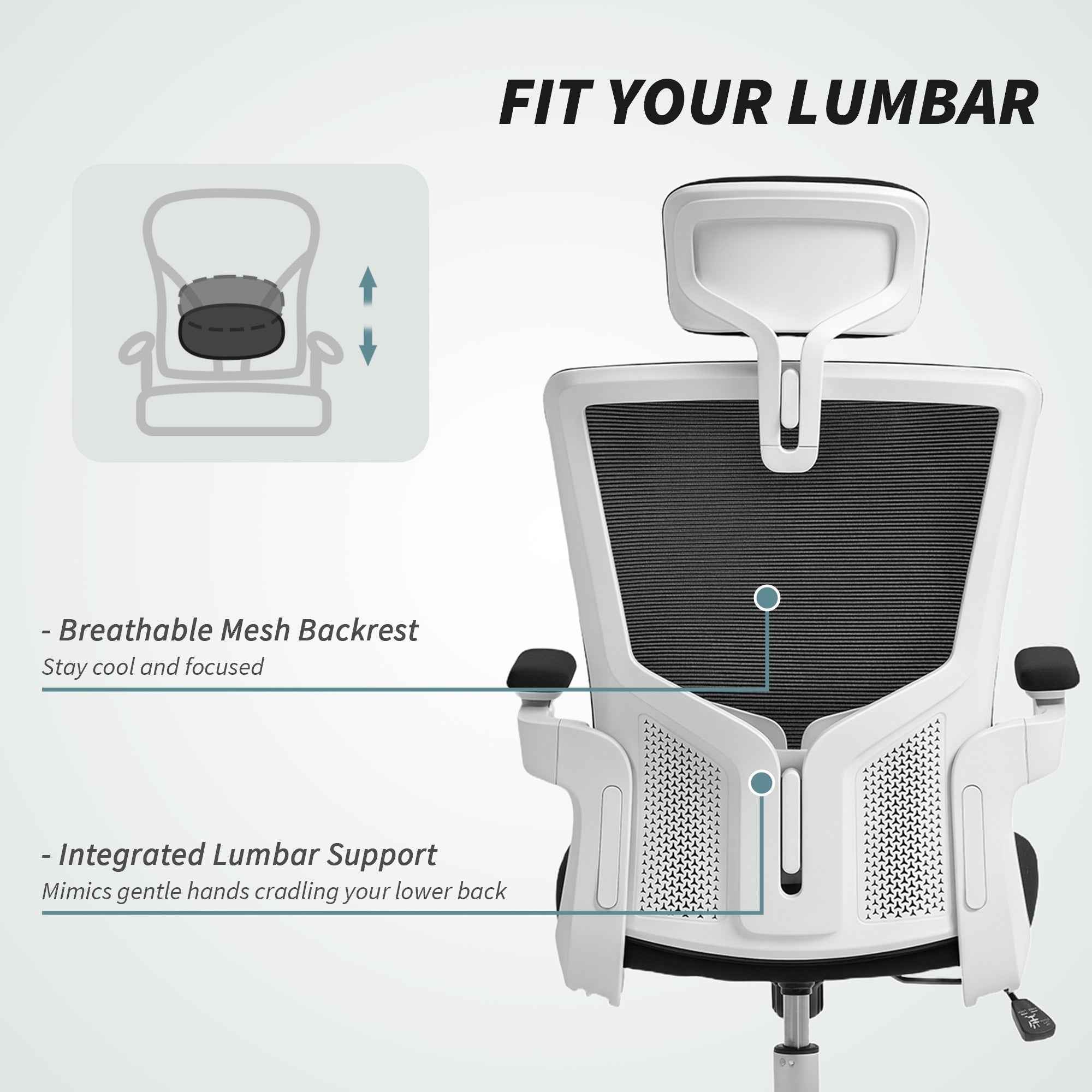 Andre Ergonomic Office Chair with 2D Lumbar Support and adjustable Headrest-Black/White