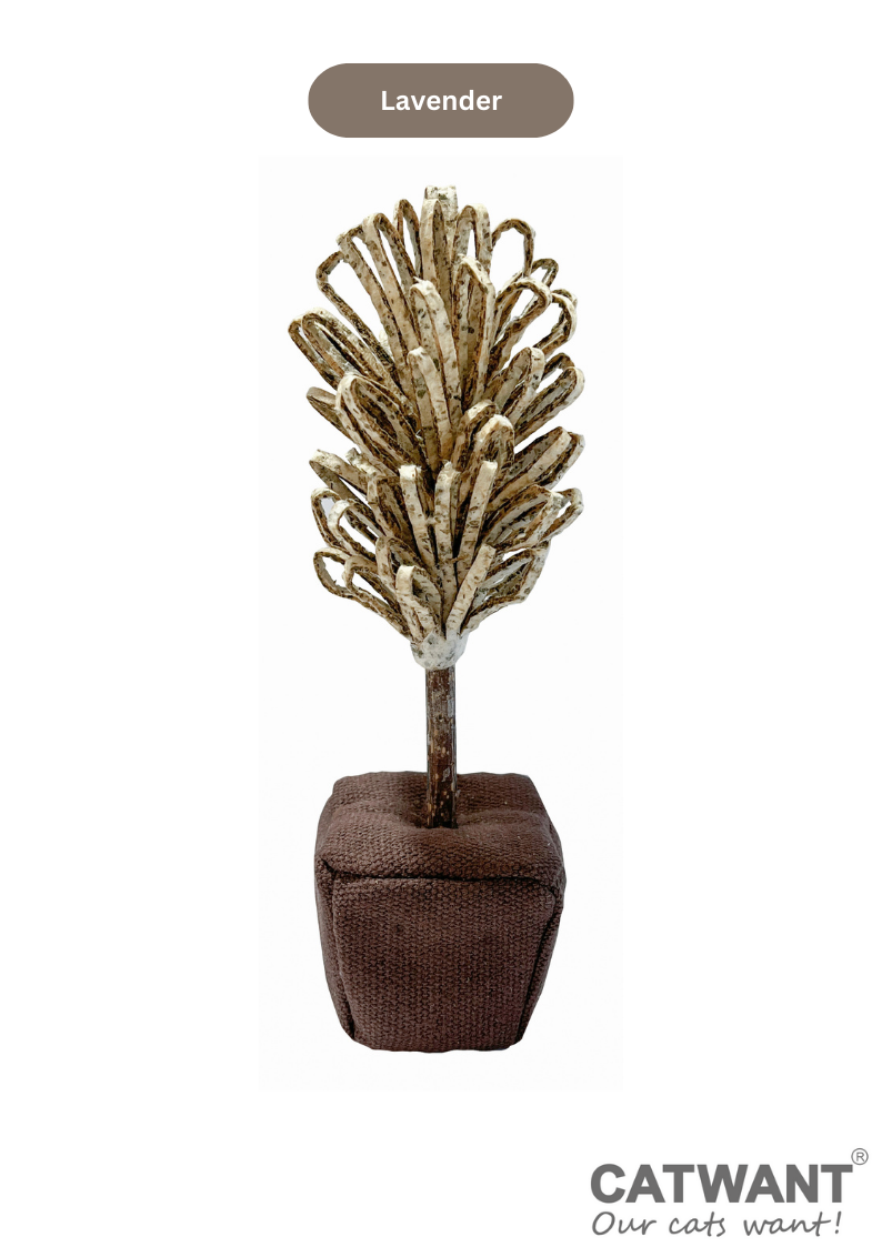 Silvervine Birthday Cake Catnip Flower Toy for Feline Festivities - Shopthatapp.ca