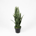 Artificial Snake Plant (Sansevieria) — Lifelike, Low‑Maintenance Indoor Greenery in 32" or 40", Optional Modern Planter