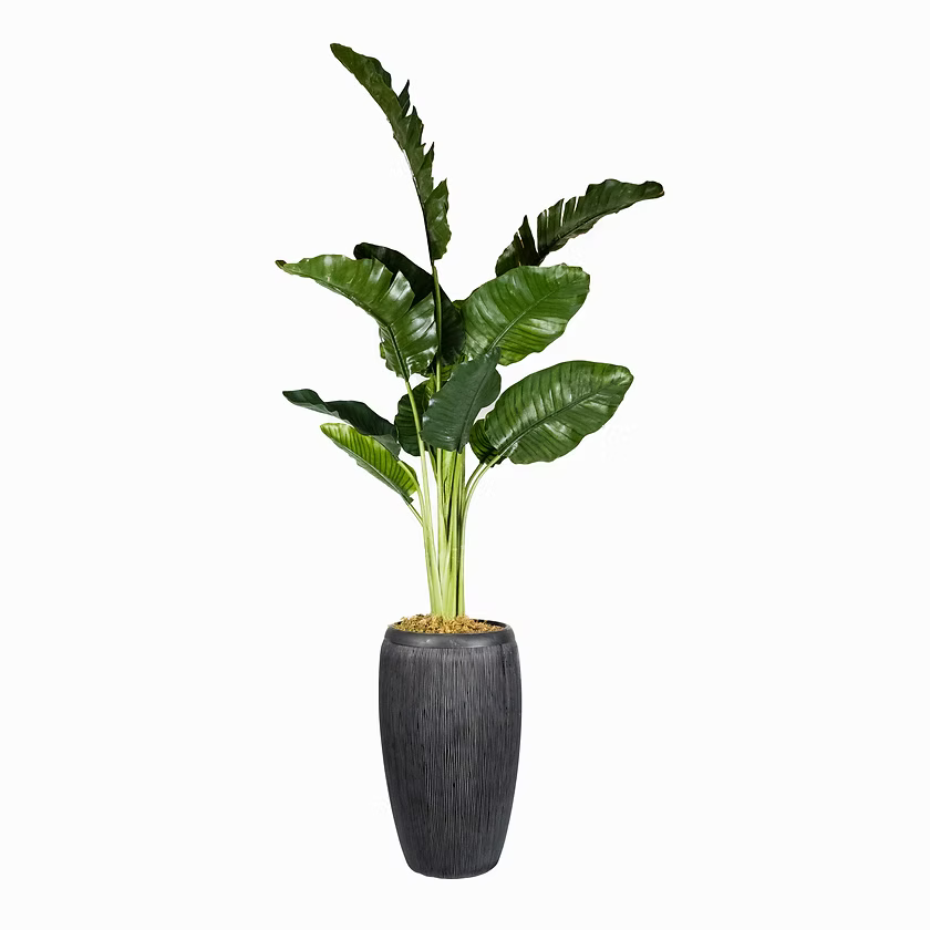 Bring Life to Your Space with Our Faux Traveller's Palm Plant
