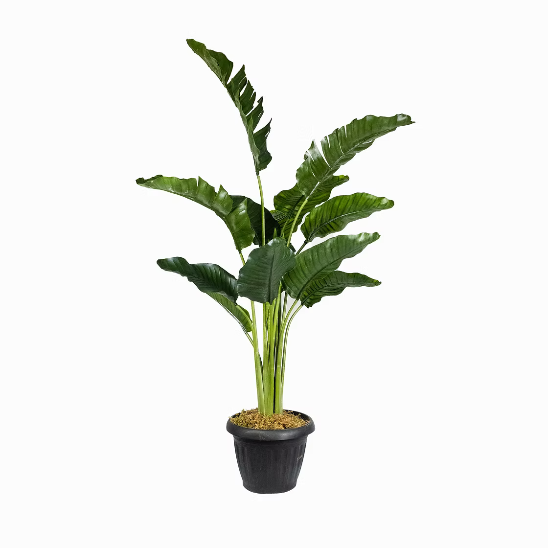 Bring Life to Your Space with Our Faux Traveller's Palm Plant
