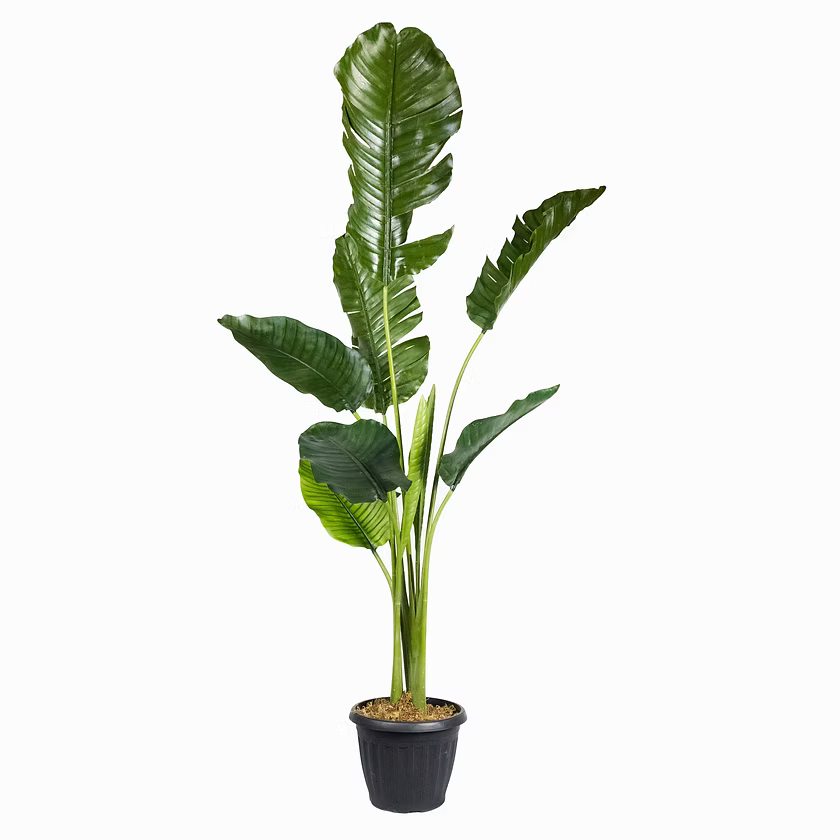 Bring Life to Your Space with Our Faux Traveller's Palm Plant