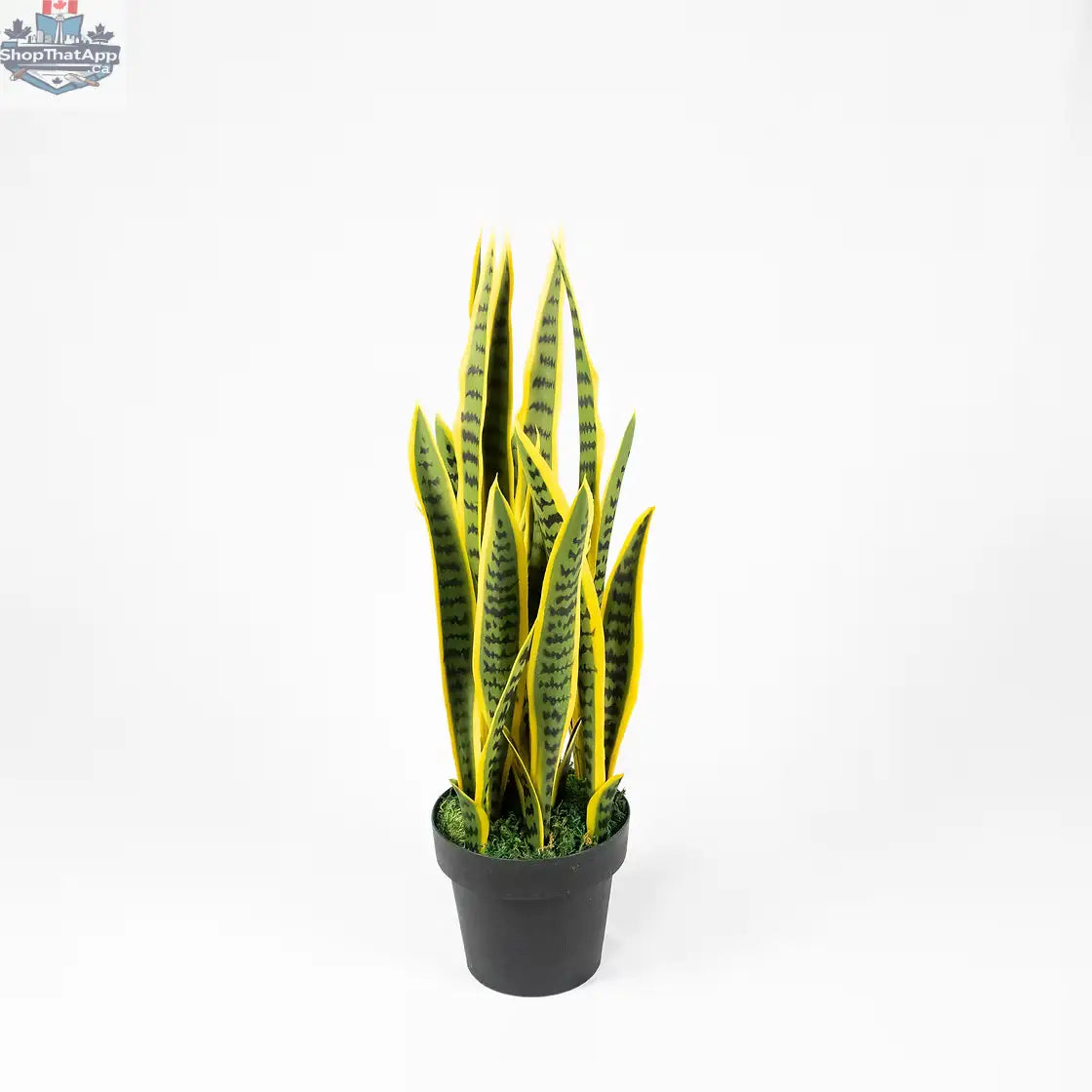 Artificial Snake Plant (Sansevieria) — Lifelike, Low‑Maintenance Indoor Greenery in 32" or 40", Optional Modern Planter - Shopthatapp.ca