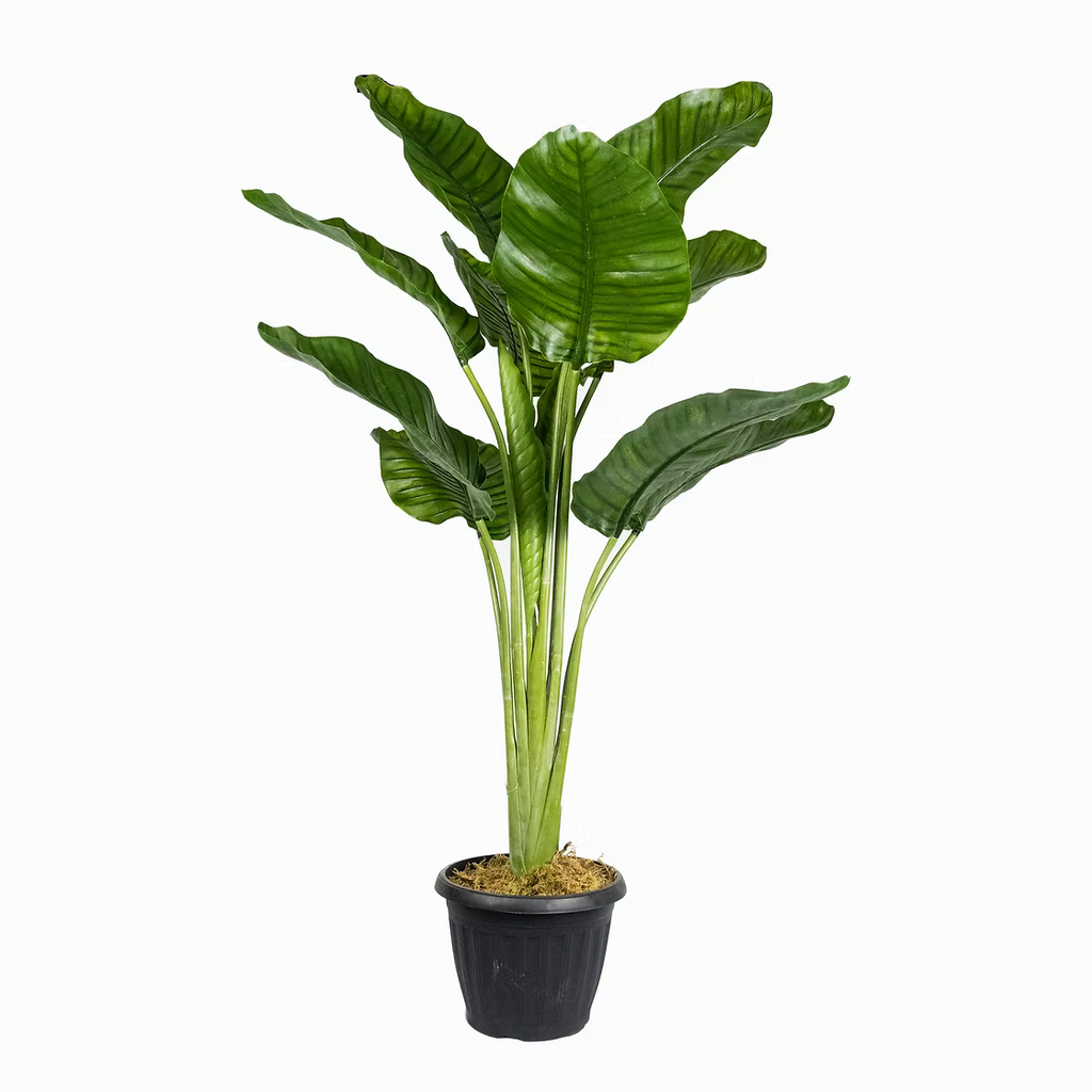 Bring Life to Your Space with Our Faux Traveller's Palm Plant