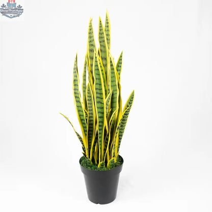 Artificial Snake Plant (Sansevieria) — Lifelike, Low‑Maintenance Indoor Greenery in 32" or 40", Optional Modern Planter - Shopthatapp.ca