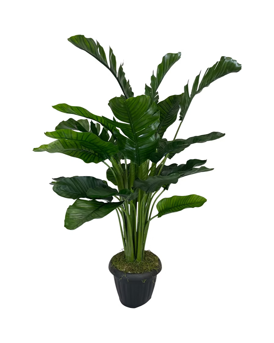 Bring Life to Your Space with Our Faux Traveller's Palm Plant