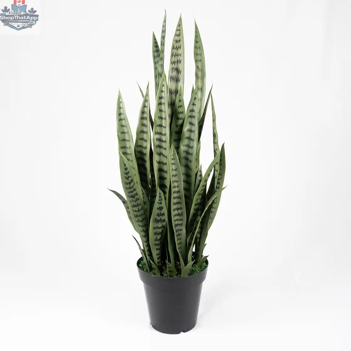 Artificial Snake Plant (Sansevieria) — Lifelike, Low‑Maintenance Indoor Greenery in 32" or 40", Optional Modern Planter - Shopthatapp.ca