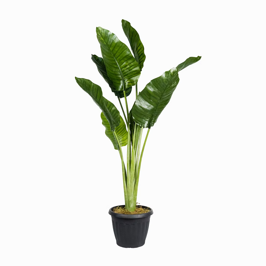 Bring Life to Your Space with Our Faux Traveller's Palm Plant