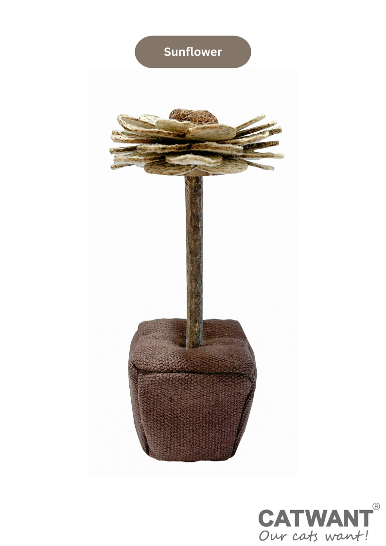 Silvervine Birthday Cake Catnip Flower Toy for Feline Festivities - Shopthatapp.ca