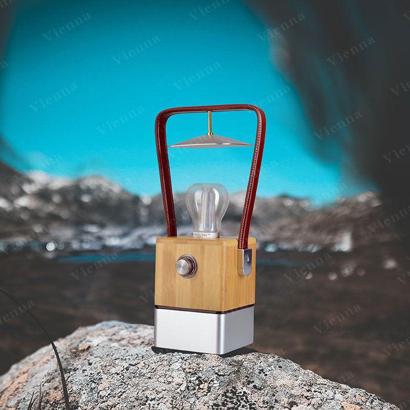TRU De-LIGHT VIENNA LED, Dimmable Desk Lamp - Lamp / Power Bank / Decoration All-In-One - Www.Shopthatapp.ca