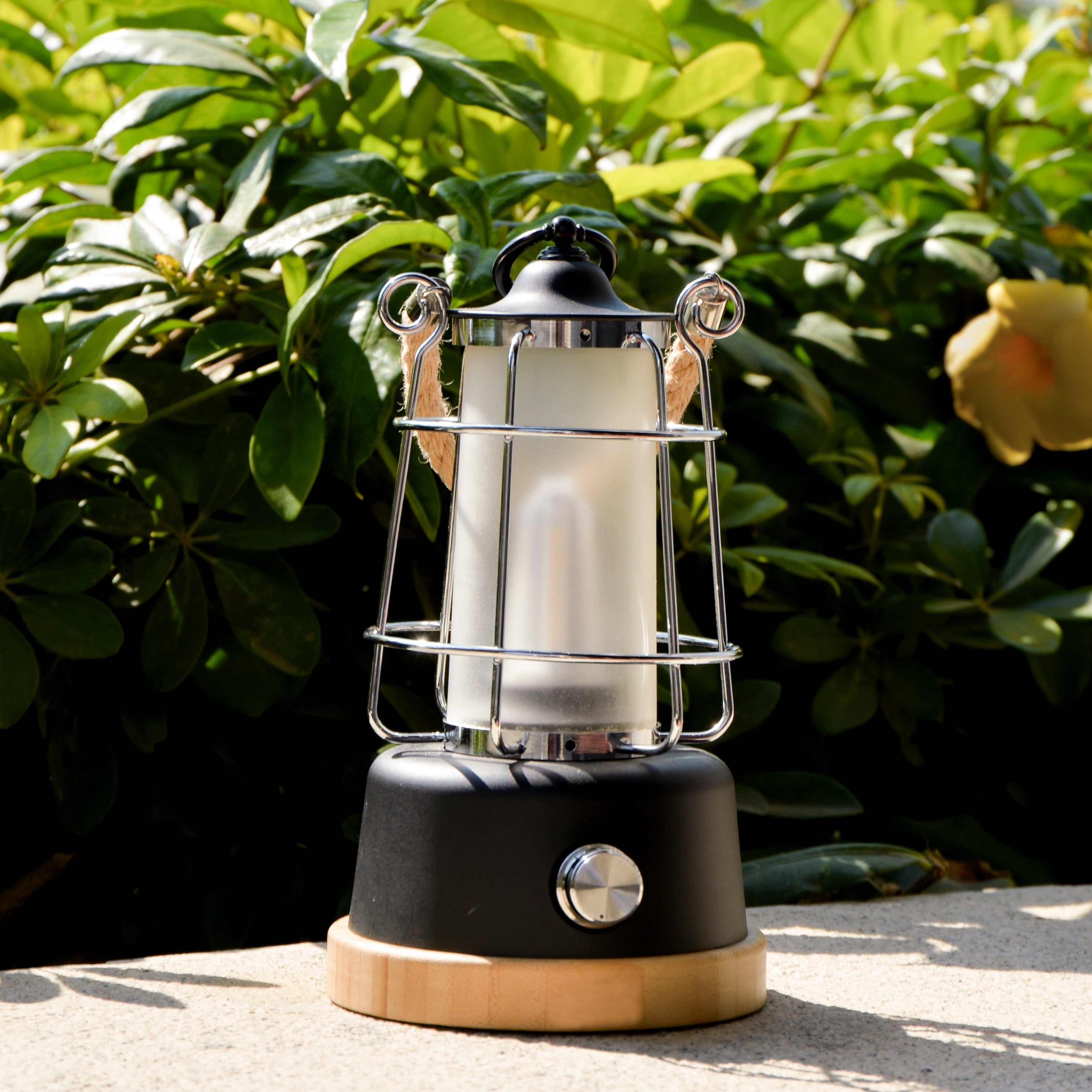 TRU De-LIGHT | YOU & ME | Dimmable | Adjustable Color Temperature & Brightness | Rechargeable | LED Lamp - Www.Shopthatapp.ca