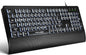Large Print Backlit Keyboard for Seniors & Visually Impaired--www.Shopthatapp.ca-ebasketonline