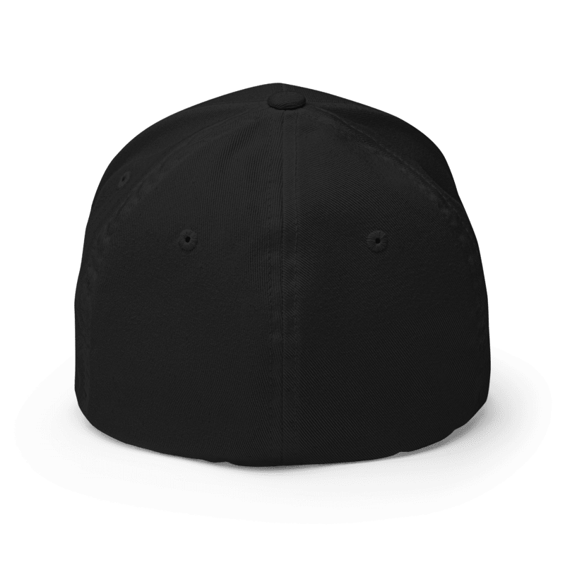 Black - Flexfit