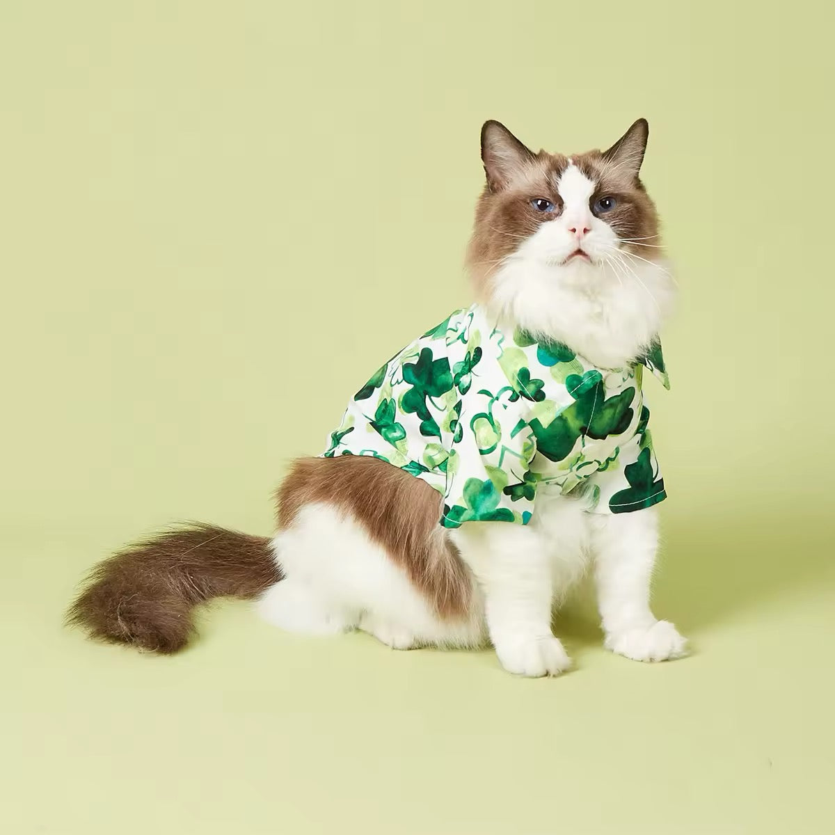 Saint Patrick's Day Dog Shirt - Adorable Festive Holiday Pet Tee for Your Furry Friend - Shopthatapp.ca