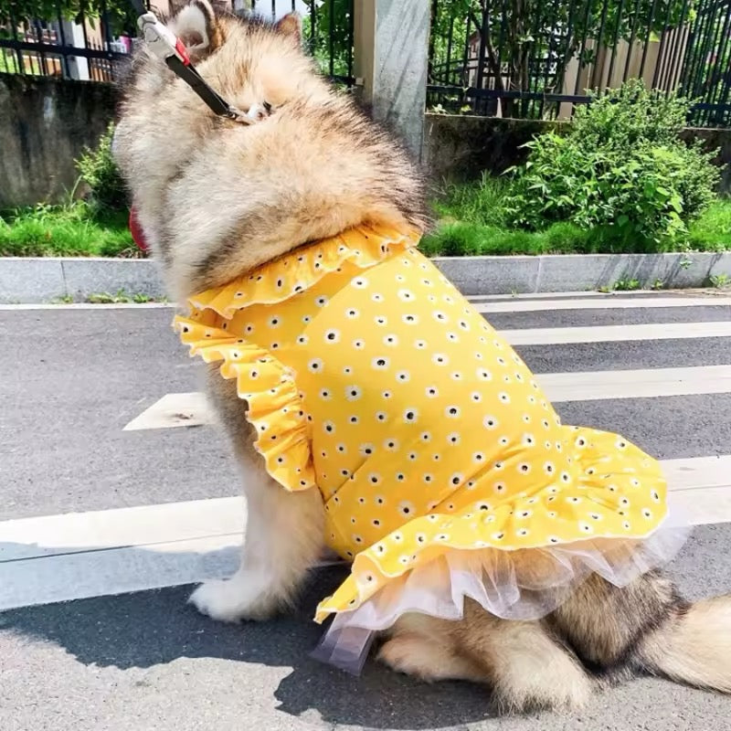Daisy Spring Dress - Floral Dog Dress Large Breeds for Stylish Pets - Shopthatapp.ca