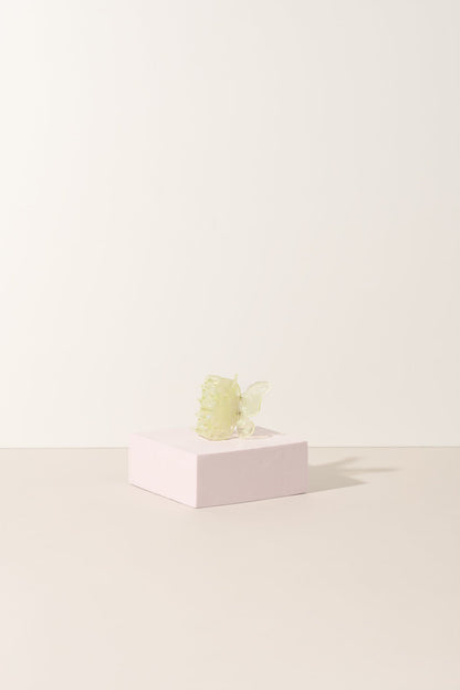 The Butterfly Collection - Shopthatapp.ca