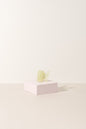 The Butterfly Collection - Shopthatapp.ca