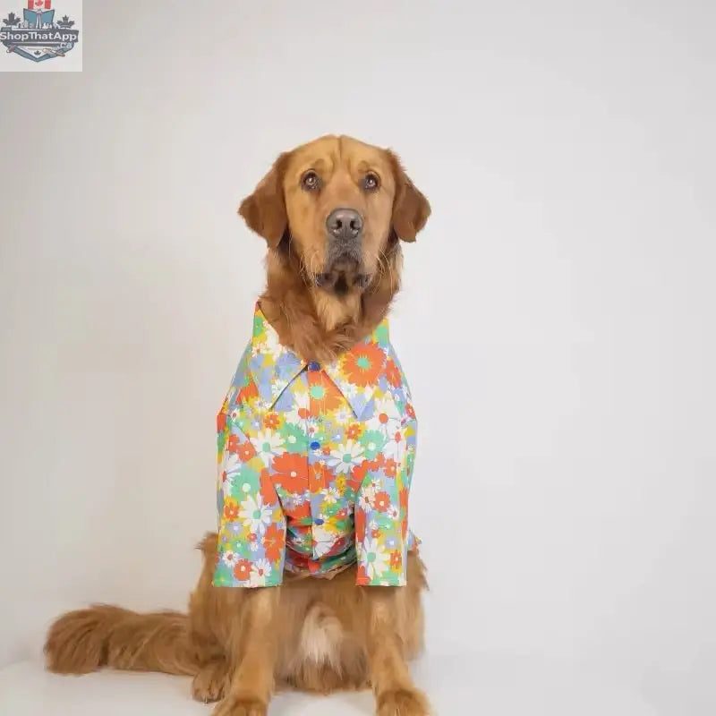 Merle Dog Shirt for Large Dogs - Stylish Spring Shirt for Your Furry Friend - Shopthatapp.ca