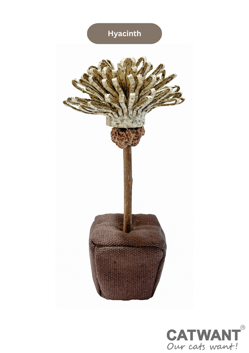 Silvervine Birthday Cake Catnip Flower Toy for Feline Festivities - Shopthatapp.ca