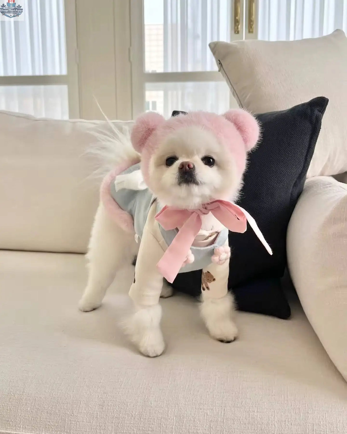 Baby Blue Easter Bunny Outfit – Easter Dog Hat Set - Shopthatapp.ca